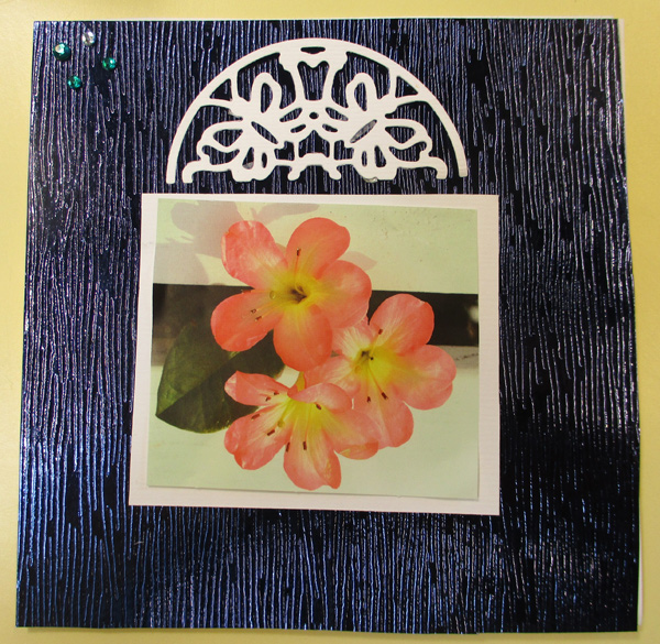 Cartes avec le kit de cartes Fleurs de Joy Crafts!